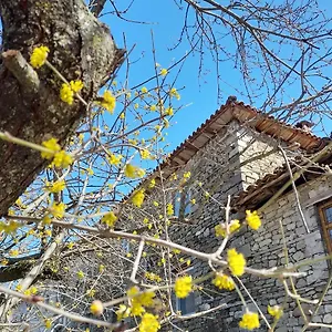 Gasthof Bujtina Tusha, Tirana